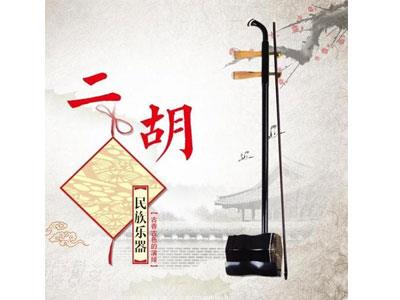 招聘亳州二胡家教老师